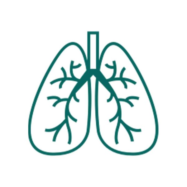 Respiratory Equipment